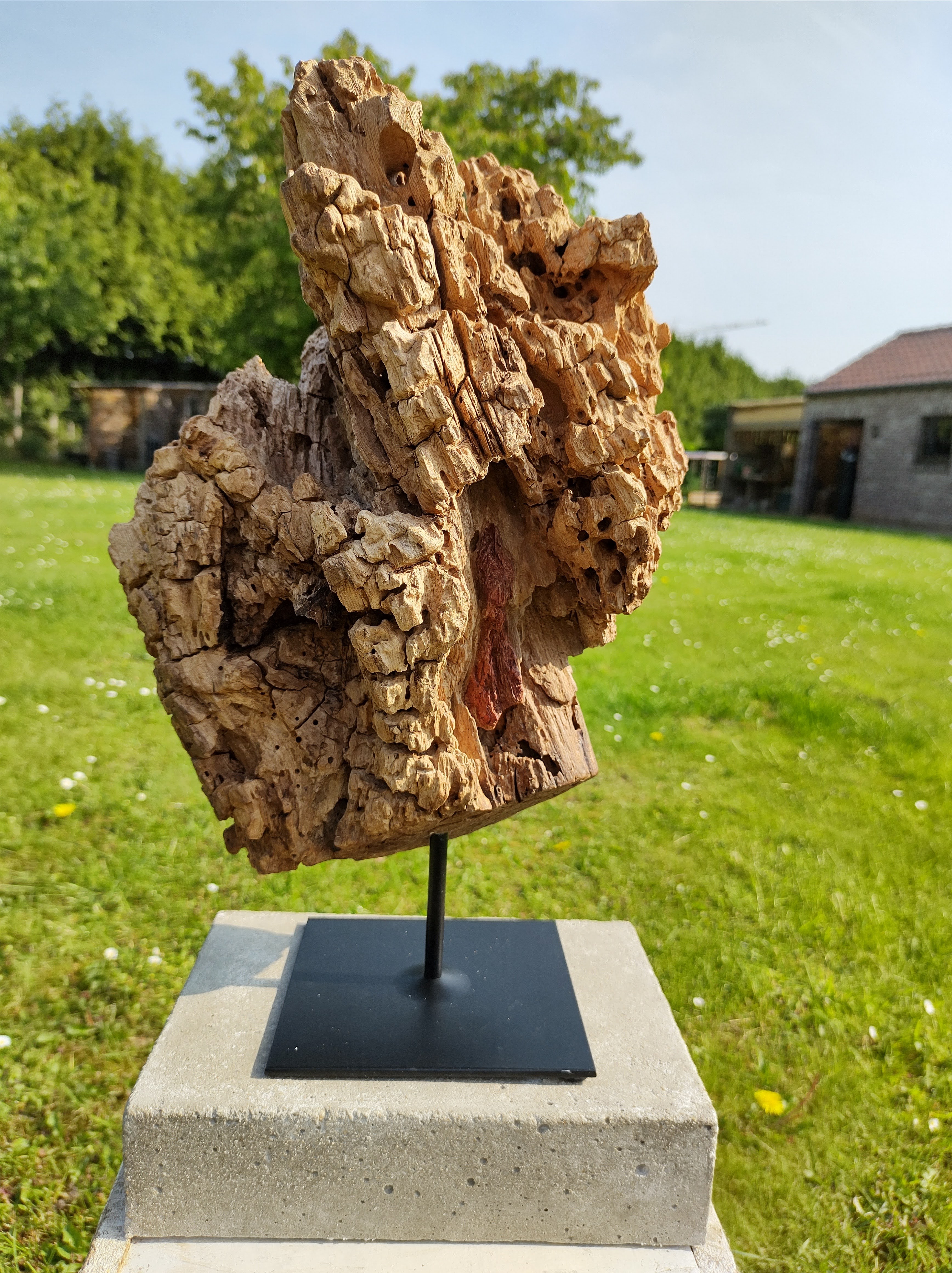sculptuur