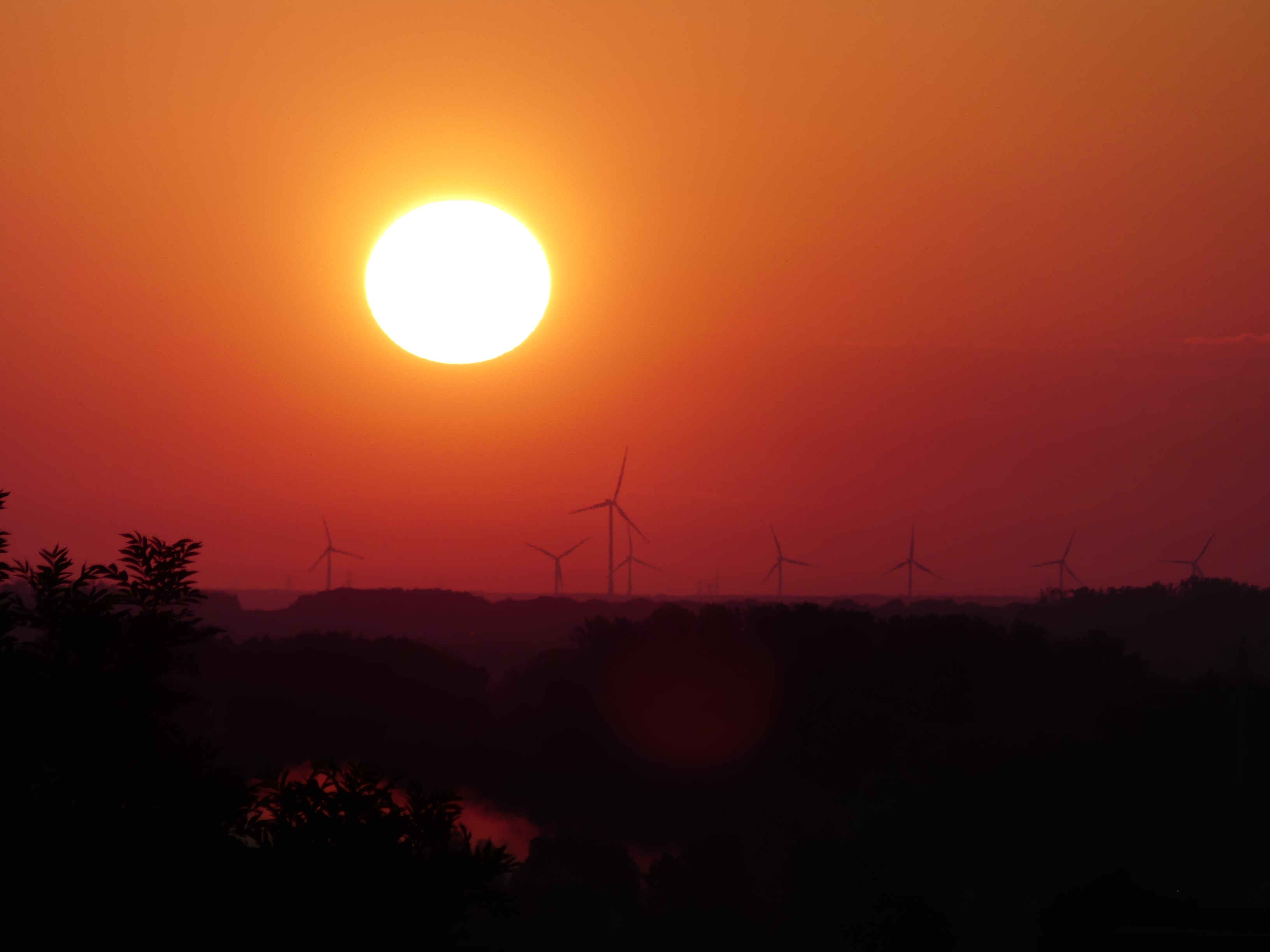 foto: zonnelied en windmolens